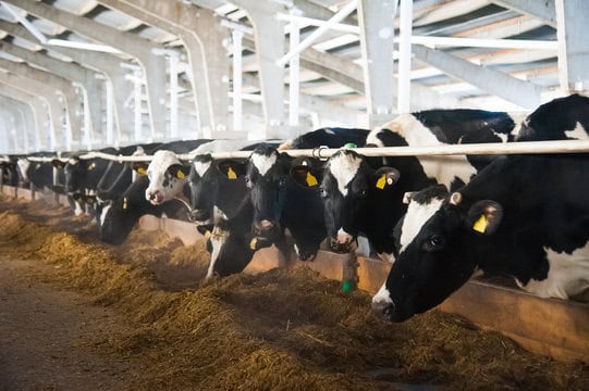 GCDC Completes DATCP Dairy Analysis Grant, Strengthening Green County’s Dairy Future